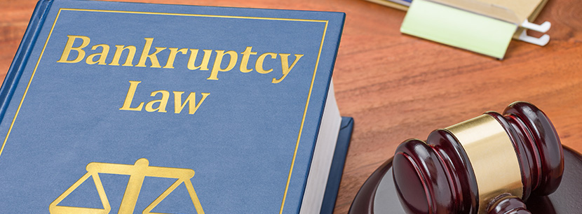 Bankruptcy Fraud Law